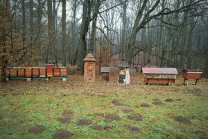 Přečtete si více ze článku Včelí stezka z Úval do Květnice